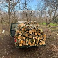 legna da ardere nocciolo