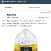 iincubatrice uova 