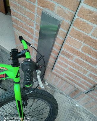 bicicletta 