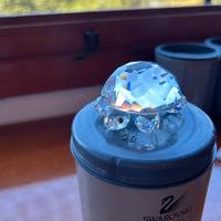 tartaruga swarovski 