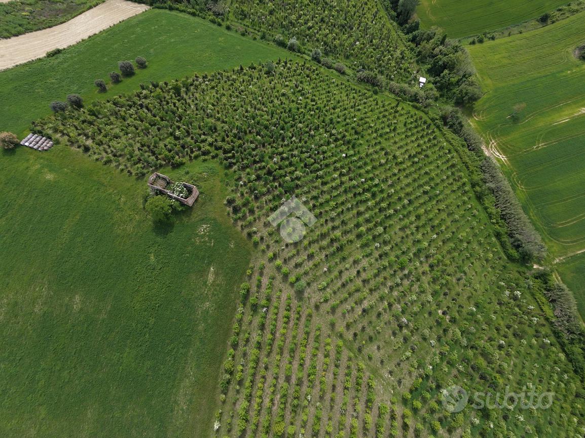 TER. AGRICOLO A SANT'OMERO - Vista 3