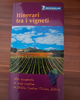 Itinerario tra i vigneti