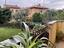 Immagine 7