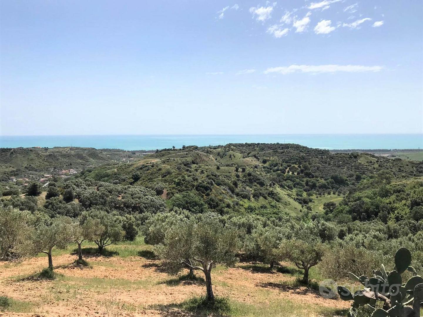 Rif.RI233| terreno agricolo borgia - Vista 2