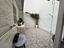 Immagine 15
