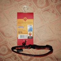 collarino roma