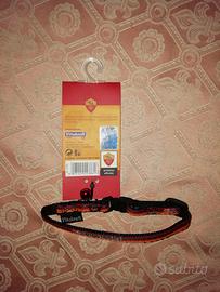 collarino roma