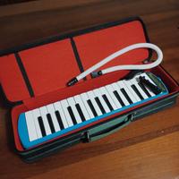 addestratore x fisarmonica