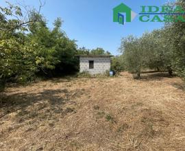 Terreno con Uliveto e Vigneto
