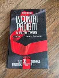 “Incontri proibiti” di Indigo Bloom