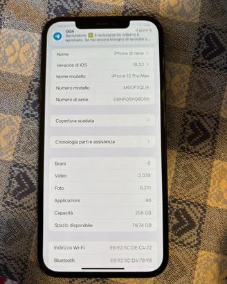 iphone 12 pro max