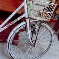 Bicicletta Vicini