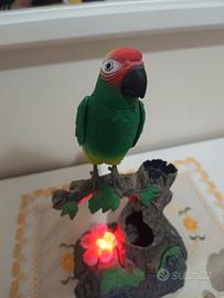 Pappagallo parlante 
