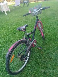 bici bambina raggio 24