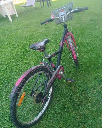 bici bambina raggio 24