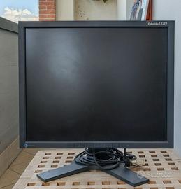 Monitor EIZO colore Edge cg 19