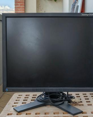 Monitor EIZO colore Edge cg 19