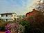 Immagine 27