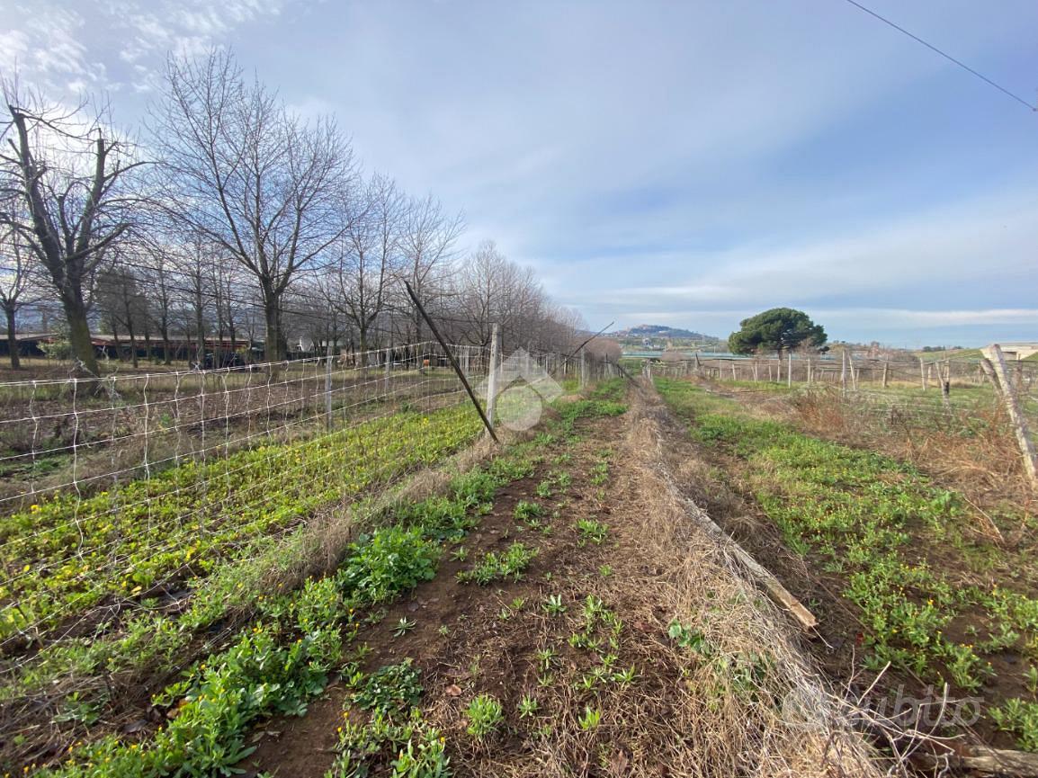 TER. AGRICOLO A SAN CESAREO - Altro