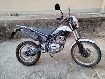 Beta Urban 200