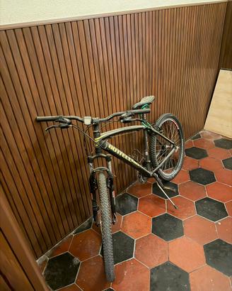 Bicicletta