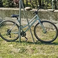 Bicicletta donna