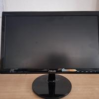 Monitor Asus 18,5 pollici. 