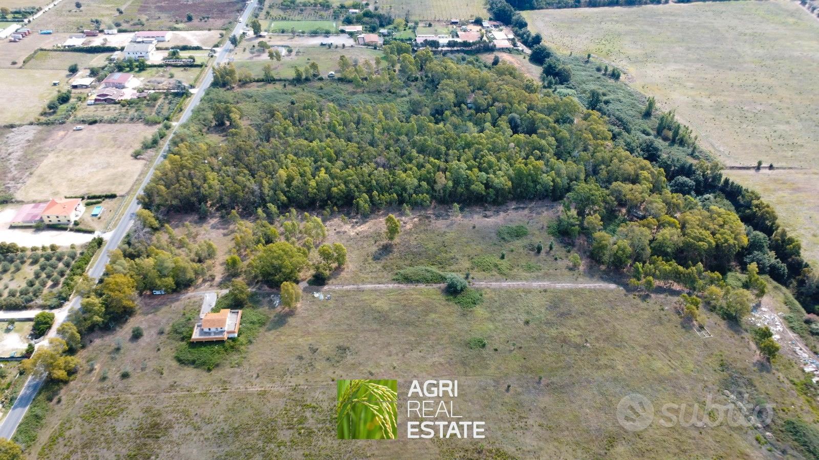 Terreno agricolo 2 ettari ca - Vista 2