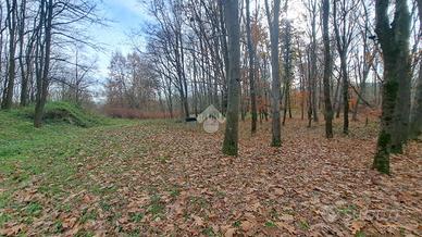 TER. AGRICOLO A CERRIONE