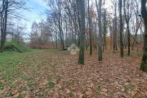 TER. AGRICOLO A CERRIONE