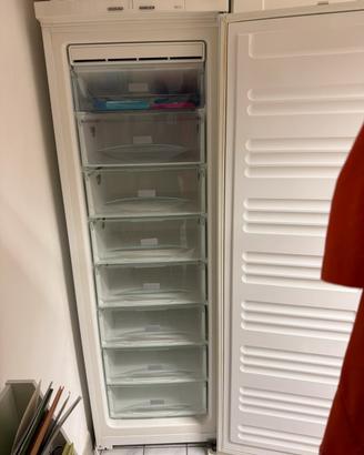 Congelatore miele 8 cassetti