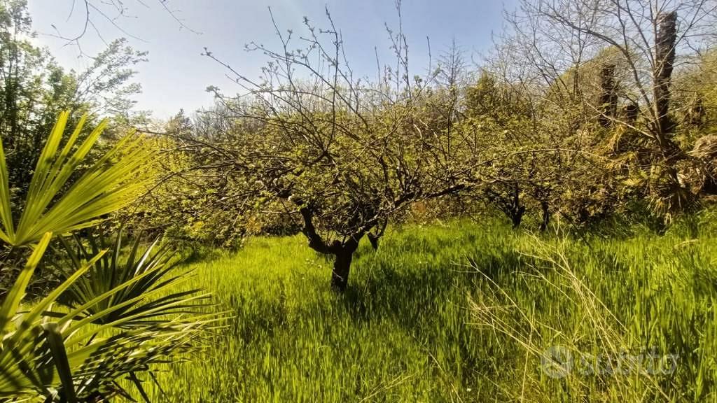 Terreno di 15000 m² a Castiglione delle Stiviere - Vista 5