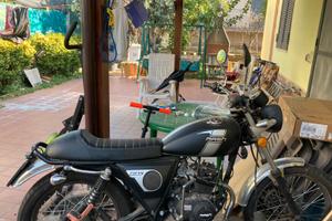 Mash Fifty 50 - 2022