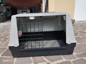 trasportino per auto per cane
