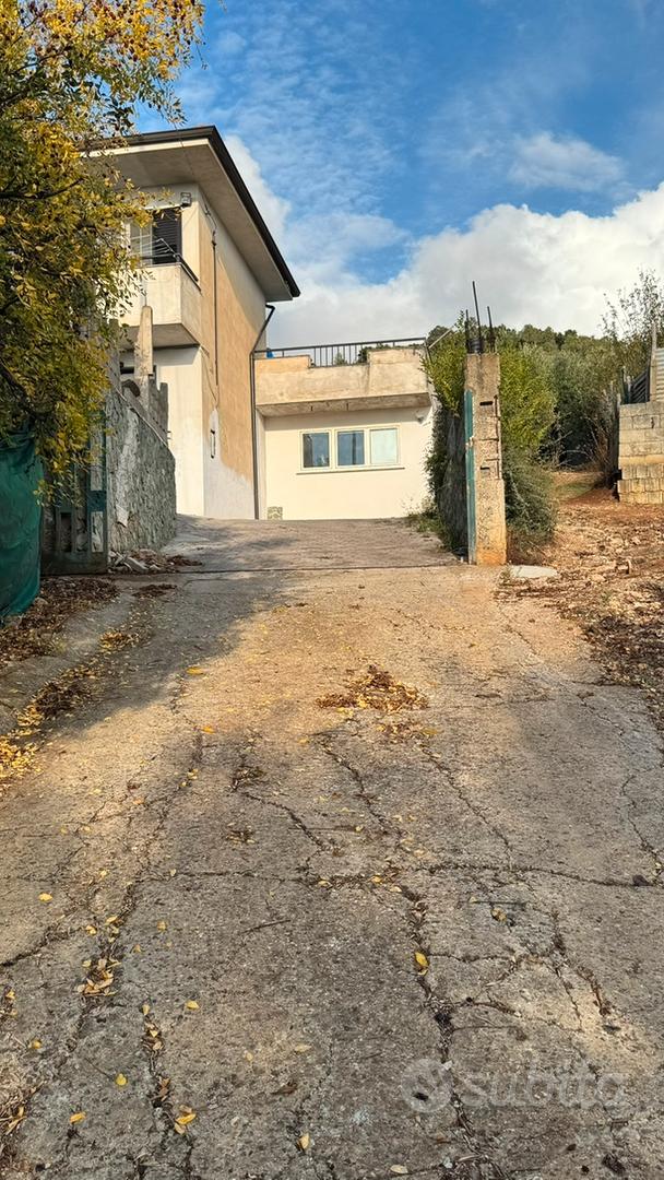 Appartamento – Francavilla Angitola, Olivara - Vista 2