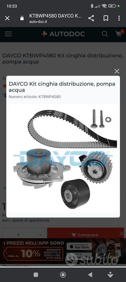 DAYCO KTBWP4580 Kit Distribuzione e Pompa Acqua : : Auto e Moto