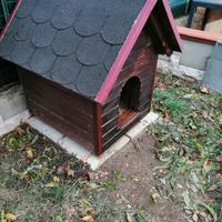 cuccia per cani taglia media