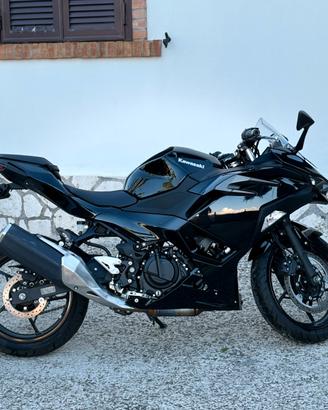Kawasaki ninja 500-1000km