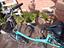 Immagine 3