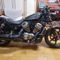 Harley Nightster RH 975 del 2022