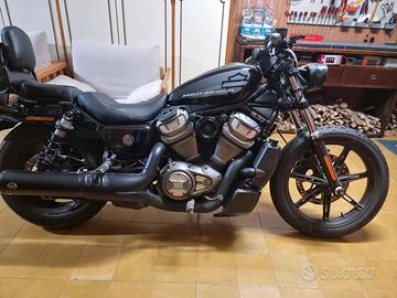 Harley Nightster RH 975 del 2022