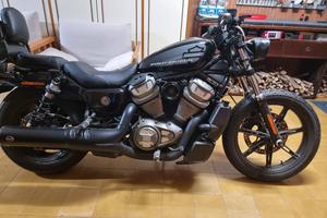 Harley Nightster RH 975 del 2022