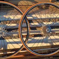 Ruote Ambrogio spox 9v