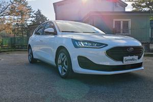 Ford Focus 1.5 EcoBlue 120 CV 5p. Business Co-Pilo