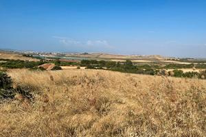 Terreno agricolo di 6500 mq pressi simbirizzi