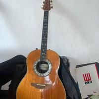 Chitarra ovation