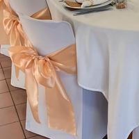 10 fiocchi per sedie colore champagne 