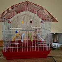 Gabbietta per volatili accessoriata con nido