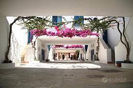 Settimana 30 luglio-6 agosto Serra degli Alimini 1