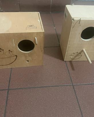 Nidi Inseparabili e Calopsiti